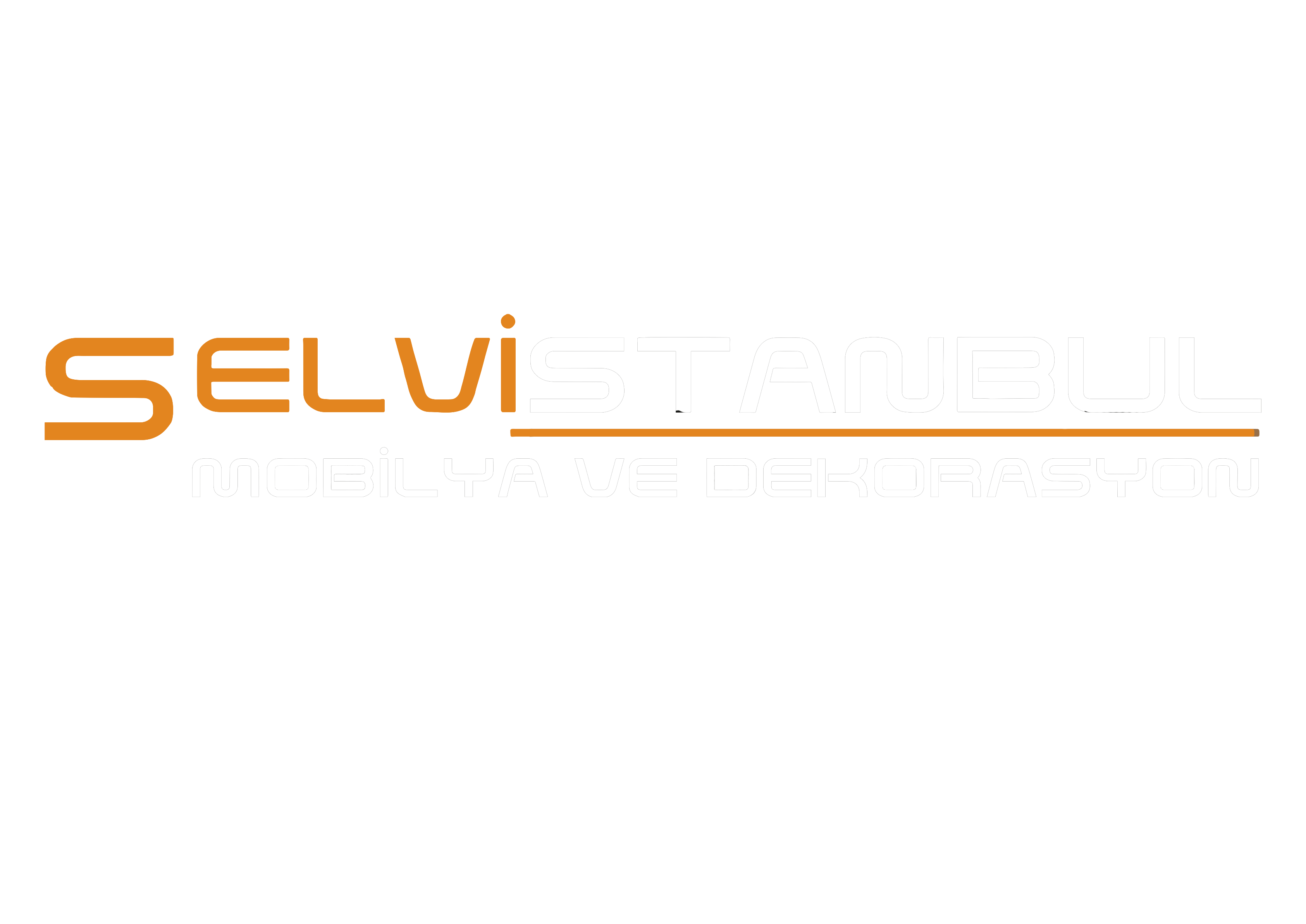 Selvistanbul